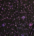 60-11 черный - пурпурный